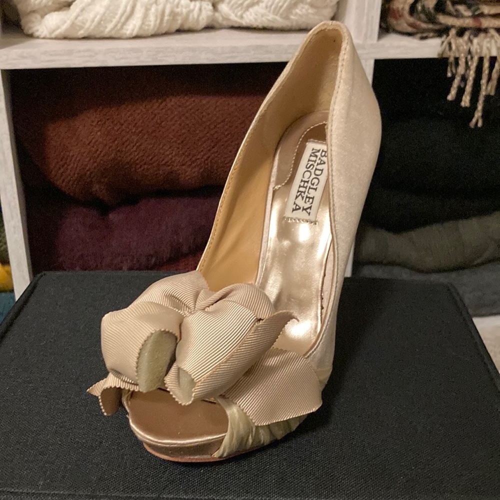 Badgley Mischka Pumps. Size 6.